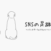 SNS 足跡